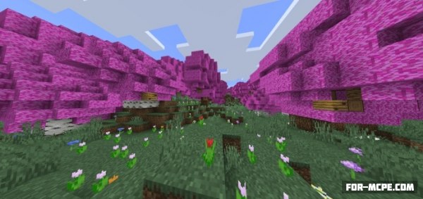 yBiomesCraft addon